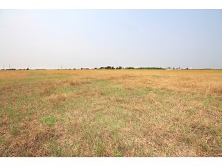 TRACT 5 - LAND AUCTION - 160+/- ACRES OFFERED IN 8 TRACTS IN DEER CREEK, OKLAHOMA